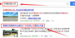 廣東世紀(jì)輝騰環(huán)?？萍加邢薰九c我司做網(wǎng)站推廣項(xiàng)目