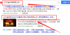 遼寧省鐵嶺文化產(chǎn)業(yè)集團開原大戲院有限公司與本司簽約網(wǎng)站設計項目