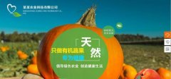 企業(yè)做網(wǎng)站當前CSS技術所存在的不足之處