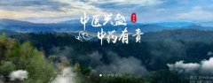 普洱淞*醫(yī)藥集團(tuán)有限公司網(wǎng)站建設(shè)新一代自助建站、智能建站系統(tǒng)
