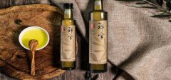 隴南市祥宇*橄欖開發(fā)有限責任公司網站設計策劃作品欣賞
