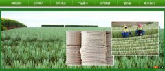 廣西玉林市長*劍麻有限公司企業(yè)網(wǎng)站建設(shè)新一代自助建站、智能建站系統(tǒng)
