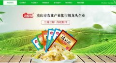 重慶市涪陵區(qū)*色食品有限公司網站建設營銷型案例作品